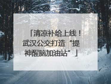 清凉补给上线！武汉公交打造“提神醒脑加油站”